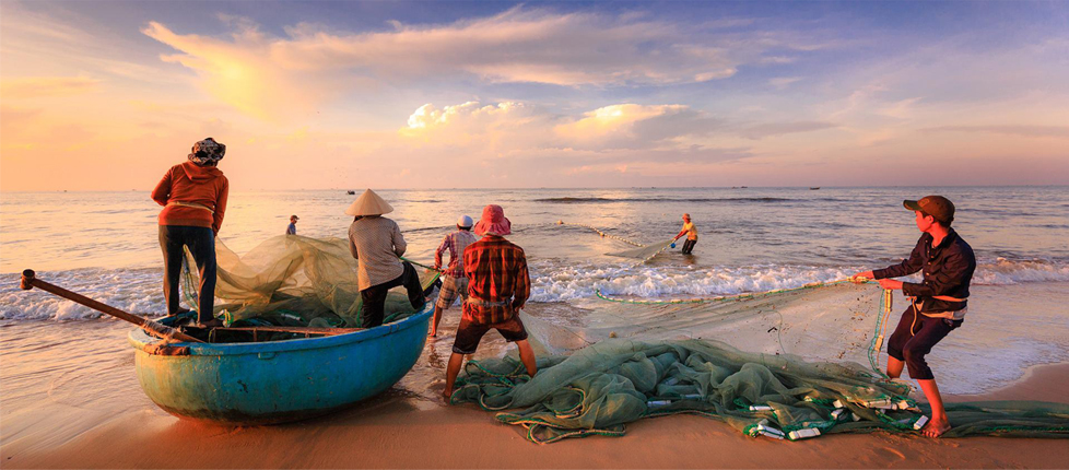 Image secondaire représentant des pêcheurs qui pêchent des poissons et fruits de mer, ingrédient de la salade fraicheur